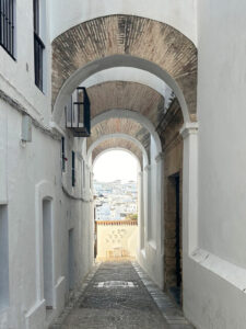 arco vejer