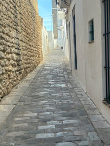 Vejer