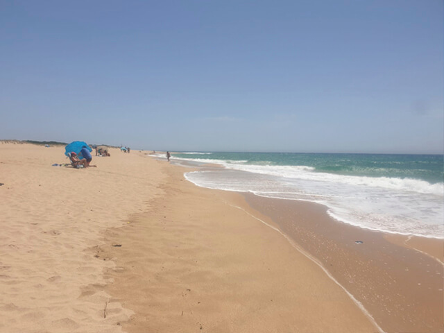 playa el palmar vejer de la frontera